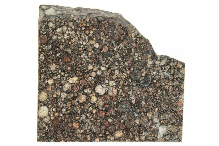 LL Chondrite Meteorite ( g) Slice - NWA #291394